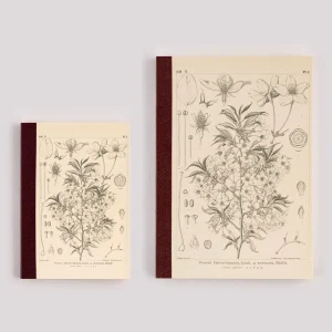 Tomitaro Makino Hobonichi Graph Notebook - Yamazakura A6 Size / A5 Size